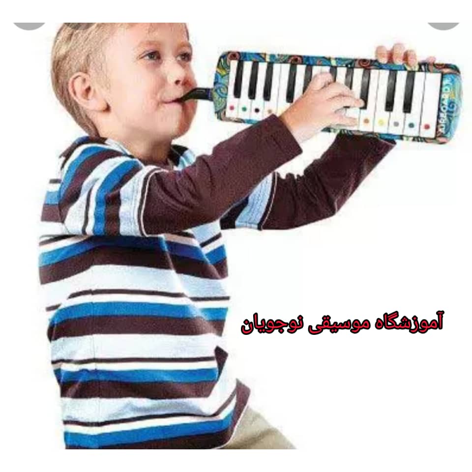 انواع ملودیکا